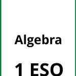 Algebra 1 ESO Ejercicios PDF