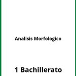 Analisis Morfologico 1 Bachillerato Ejercicios  PDF