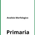 Analisis Morfologico Ejercicios Primaria PDF