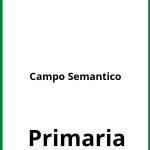 Campo Semantico Ejercicios Primaria PDF