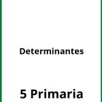 Determinantes 5 Primaria Ejercicios PDF