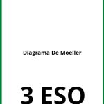 Diagrama De Moeller 3 ESO Ejercicios PDF