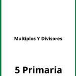 Ejercicios 5 Primaria Multiplos Y Divisores PDF