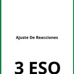 Ejercicios Ajuste De Reacciones 3 ESO PDF
