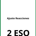 Ejercicios Ajuste Reacciones 2 ESO PDF