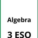 Ejercicios Algebra 3 ESO PDF