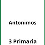 Ejercicios Antonimos 3 Primaria PDF