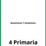 Ejercicios Antonimos Y Sinonimos 4 Primaria PDF