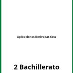 Ejercicios Aplicaciones Derivadas 2 Bachillerato Ccss PDF