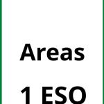 Ejercicios Areas 1 ESO PDF