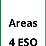 Ejercicios Areas 4 ESO PDF