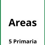 Ejercicios Areas 5 Primaria PDF