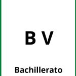 Ejercicios B V PDF Bachillerato