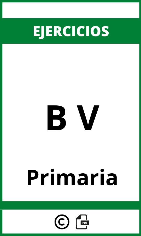 Ejercicios B V Primaria PDF