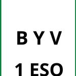 Ejercicios B Y V 1 ESO PDF