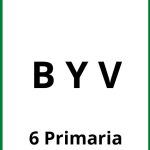 Ejercicios B Y V 6 Primaria PDF