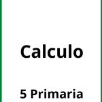 Ejercicios Calculo 5 Primaria PDF