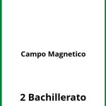 Ejercicios Campo Magnetico 2 Bachillerato PDF