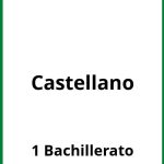 Ejercicios Castellano 1 Bachillerato PDF