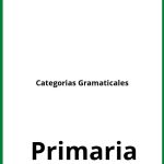 Ejercicios Categorias Gramaticales Primaria PDF
