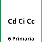 Ejercicios Cd Ci Cc 6 Primaria PDF