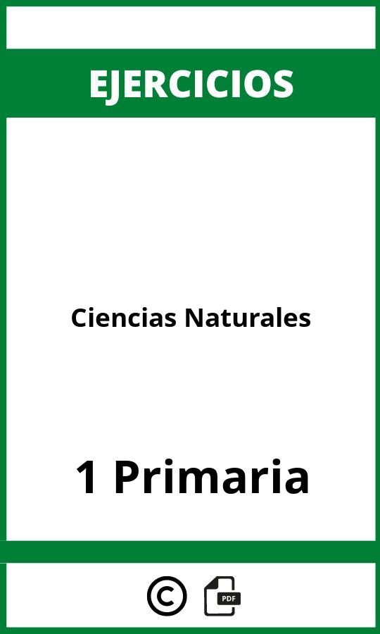 Ejercicios Ciencias Naturales 1 Primaria PDF