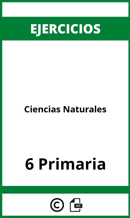 Ejercicios Ciencias Naturales 6 Primaria PDF