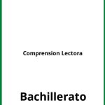 Ejercicios Comprension Lectora Bachillerato PDF