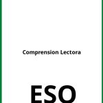 Ejercicios Comprension Lectora ESO PDF