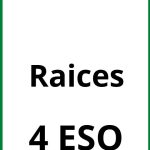 Ejercicios Con Raices 4 ESO PDF