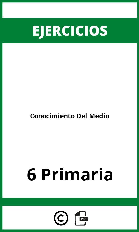 Ejercicios Conocimiento Del Medio 6 Primaria PDF