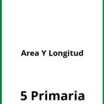 Ejercicios De Area Y Longitud 5 Primaria PDF