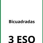 Ejercicios De Bicuadradas 3 ESO PDF