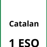 Ejercicios De Catalan 1 ESO PDF