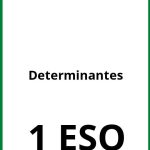 Ejercicios De Determinantes 1 ESO PDF