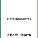 Ejercicios De Determinantes 2 Bachillerato PDF