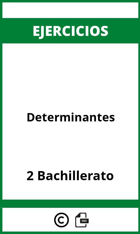 Ejercicios De Determinantes 2 Bachillerato PDF