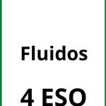 Ejercicios De Fluidos 4 ESO PDF