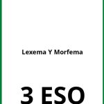 Ejercicios De Lexema Y Morfema 3 ESO PDF