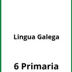 Ejercicios De Lingua Galega 6 Primaria PDF