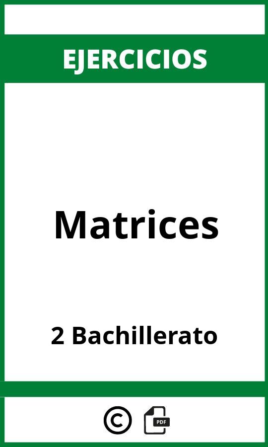 Ejercicios De Matrices 2 Bachillerato PDF