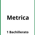 Ejercicios De Metrica  1 Bachillerato PDF
