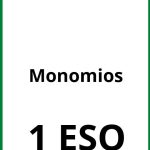 Ejercicios De Monomios 1 ESO PDF