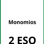 Ejercicios De Monomios 2 ESO PDF