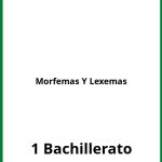 Ejercicios De Morfemas Y Lexemas 1 Bachillerato PDF