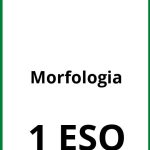 Ejercicios De Morfologia 1 ESO PDF