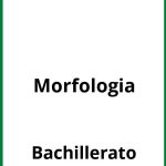 Ejercicios De Morfologia Bachillerato PDF