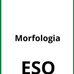 Ejercicios De Morfología ESO PDF