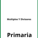 Ejercicios De Multiplos Y Divisores Primaria PDF