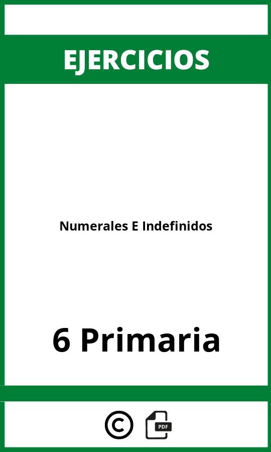 Ejercicios De Numerales E Indefinidos 6 Primaria PDF